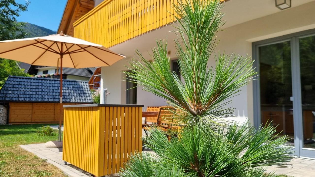 בוהין Apartments Vila Darja מראה חיצוני תמונה
